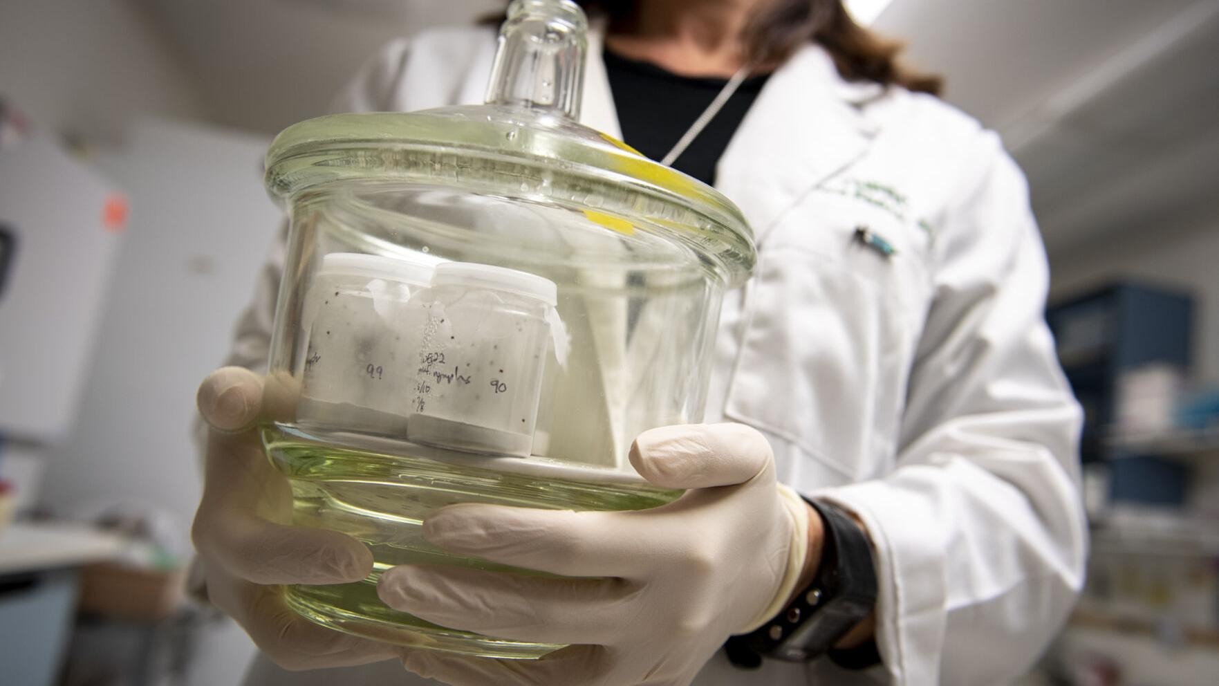 Tulane researchers study Lyme disease, with long-term effects of tick-borne illness unclear